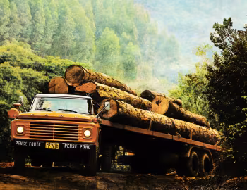 Ford F-8500 [Brazil] '07.1977–????