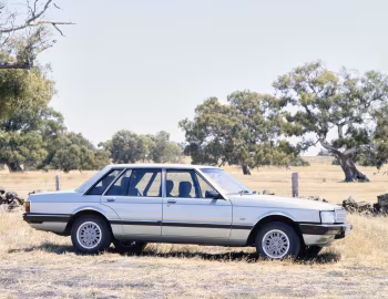 Ford Fairlane [Australia] (ZL) '10.1984–06.1988