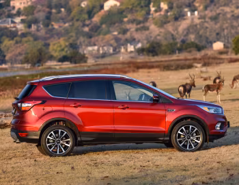Ford Kuga [South Africa] (C520) '2017–19