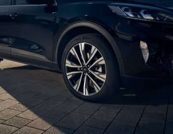 Ford Kuga Hybrid [EU-spec] '2020–24