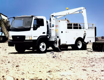 Ford LCF '2004–09