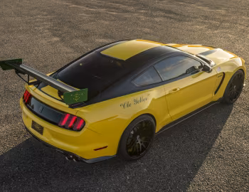 2016 Shelby GT350 Mustang “Ole Yeller” '2016