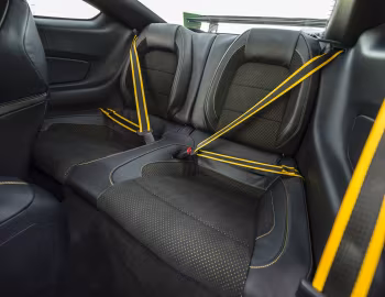 Interior 2016 Shelby GT350 Mustang “Ole Yeller” '2016