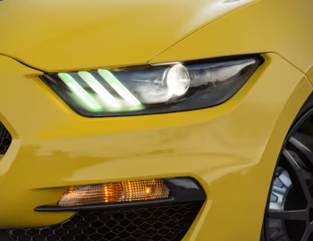 2016 Shelby GT350 Mustang “Ole Yeller” '2016