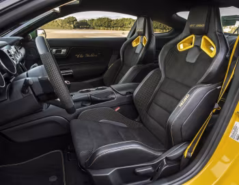 Interior 2016 Shelby GT350 Mustang “Ole Yeller” '2016