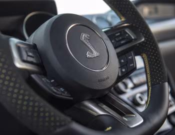 Interior 2016 Shelby GT350 Mustang “Ole Yeller” '2016