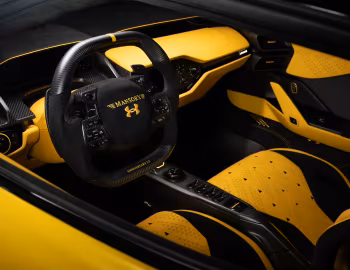 Panel frontal Mansory x Under Armour Le MANSORY '2025