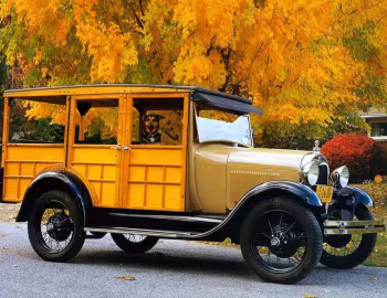 1929 Ford Model A Station Wagon (150А) '04.1929–????
