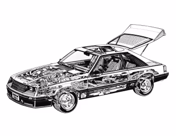 1981 Ford Mustang