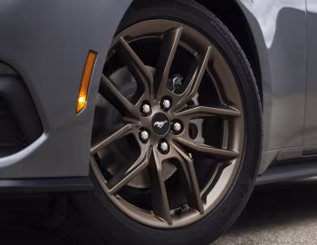 2024–pr. Ford Mustang EcoBoost Bronze Appearance Package [North America] '2023–pr.