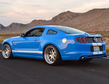 Shelby GTS '2013–14