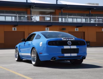 Shelby GTS '2013–14