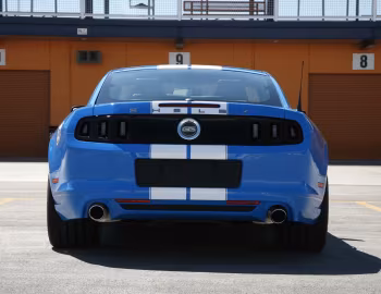 Shelby GTS '2013–14