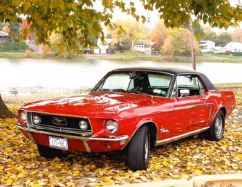 1968 Ford Mustang 2-door Hardtop (65A)