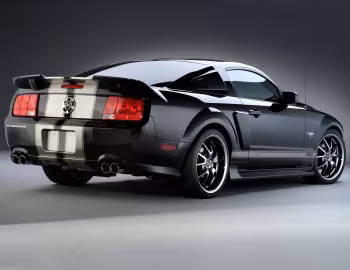 2009 Ford Mustang "Black Widow" '2008