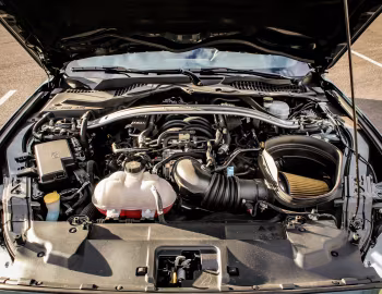 Bajo el capó 2019–23 Ford Mustang Bullitt [North America] '2018–23