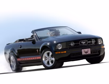 Ford Mustang Convertible "Warriors in Pink" '2008