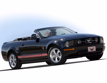Ford Mustang Convertible "Warriors in Pink" '2008