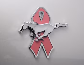 Ford Mustang Coupe "Warriors in Pink" '2008
