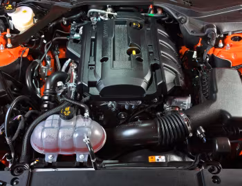 Bajo el capó Ford Mustang EcoBoost Convertible [South Africa] '2015–17