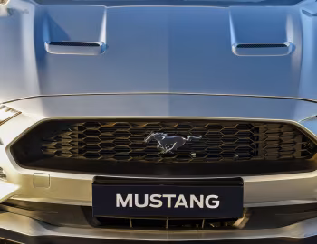 Ford Mustang EcoBoost Convertible [South Africa] '2019–23