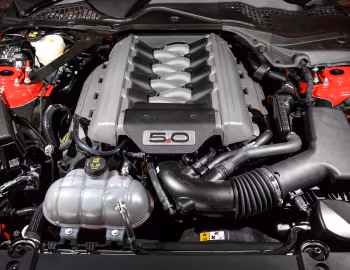Bajo el capó Ford Mustang GT Fastback [Australia] '2015–17