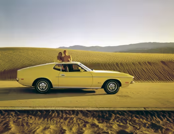 1971 Ford Mustang Hardtop (65D)