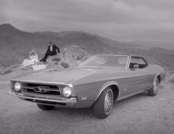 1971 Ford Mustang Hardtop (65D)