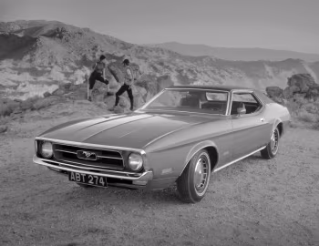 1971 Ford Mustang Hardtop (65D)