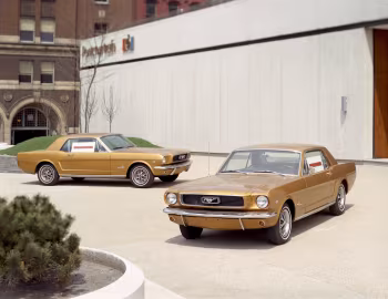 1966 Ford Mustang Hardtop Anniversary Gold Edition (65B)