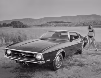 1971 Ford Mustang Hardtop (65D)