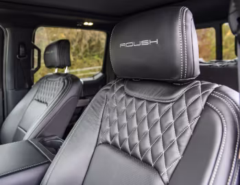Interior 2018–20 Roush F-150 '2017–20