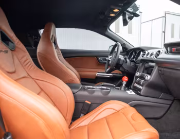 Interior 2017 Roush P-51 '2017