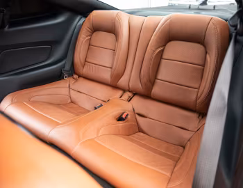 Interior 2017 Roush P-51 '2017