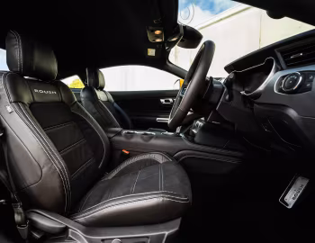 Interior Roush RS3 [New Zealand] (#19.0116.RS3) '2019