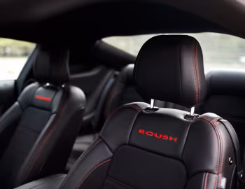 Interior 2017 Roush RS3 (#17.0204.RS3) '2017