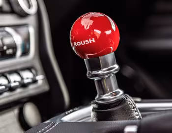 Intérieur 2019 Roush RS3 (#19.0019.RS3) '2019