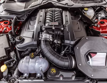 Sous la capuche 2019 Roush RS3 (#19.0019.RS3) '2019