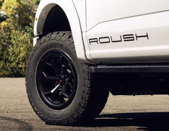 2025–pr. Roush RT6 XLT '2025–pr.