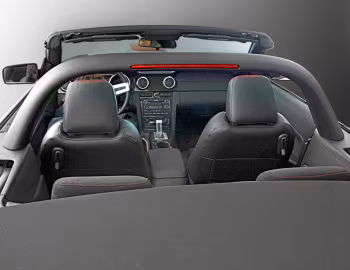 Interior Roush Speedster '2008