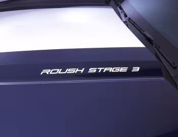 2010 Roush Stage 3 '2009–10