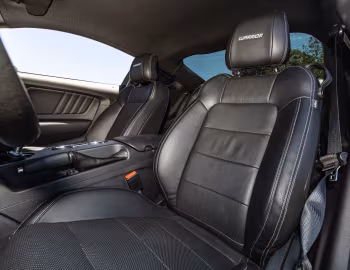 Interior 2016 Roush Warrior S/C (#5) '2016