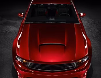 Saleen S281 '2009–10