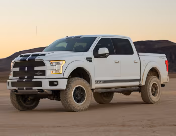 2016 Shelby F-150 '2015–16