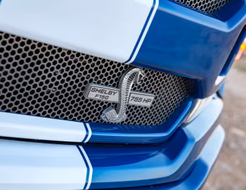 2018–20 Shelby F-150 '2018–20