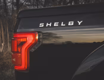 Logo 2017 Shelby F-150 '2017