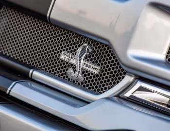 2020 Shelby F-150 Super Snake Sport Concept '11.2019