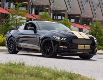 2016 Shelby GT-H '2016