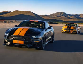 2019 Shelby GT-S '2019