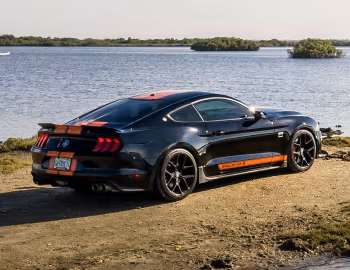 2019 Shelby GT-S '2019